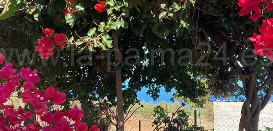 Haus in Garafia