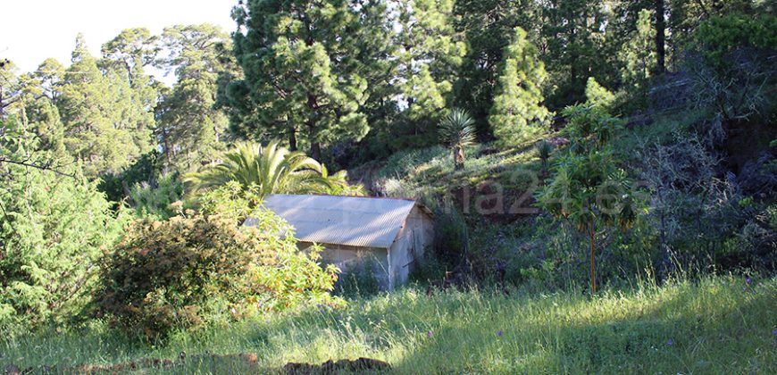Finca in Puntagorda