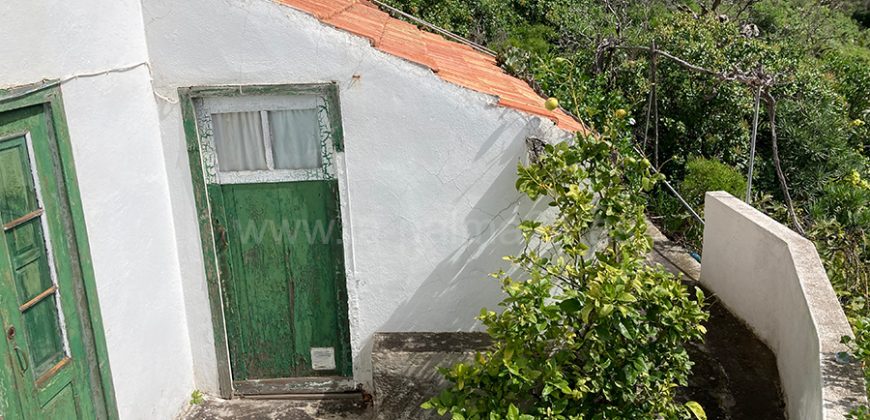 Haus in Garafia