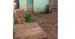 Haus in Garafia