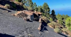 Weinkeller in El Paso