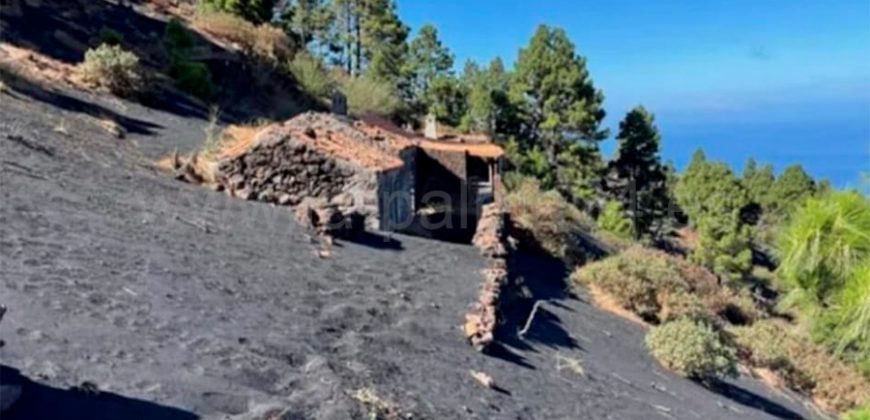 Weinkeller in El Paso