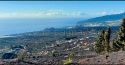 Weinkeller in El Paso