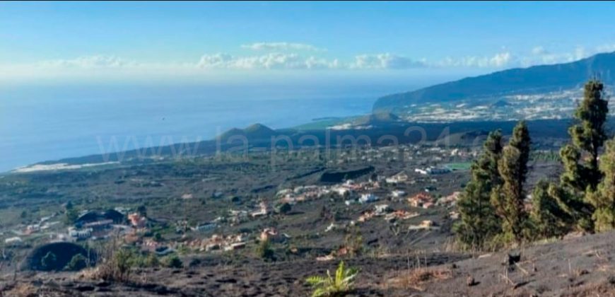 Weinkeller in El Paso