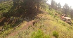 Weinkeller in El Paso