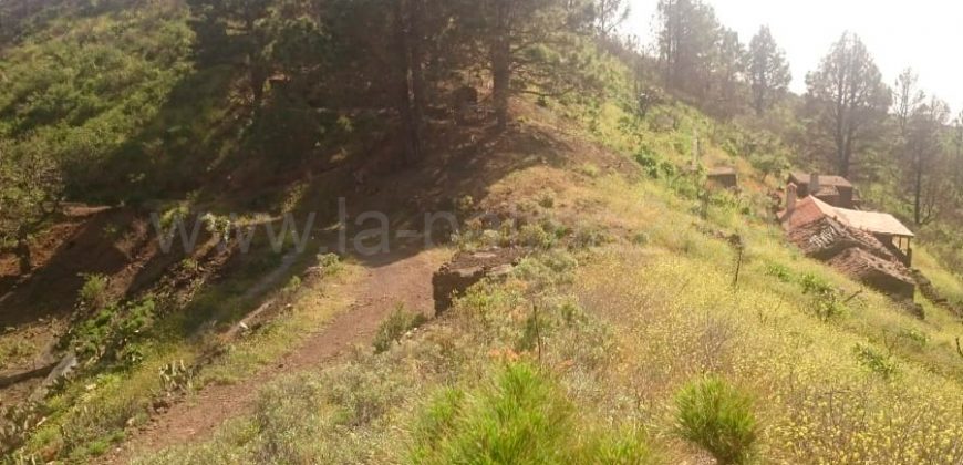 Weinkeller in El Paso