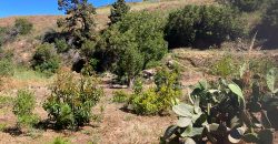 Grundstück in Garafia