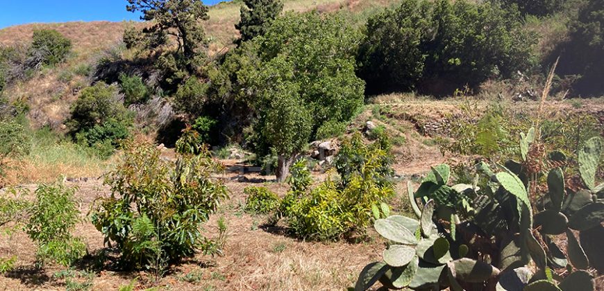 Grundstück in Garafia