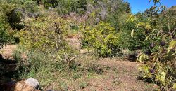 Grundstück in Garafia