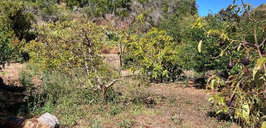 Grundstück in Garafia