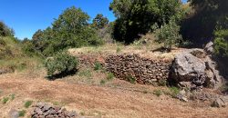 Grundstück in Garafia