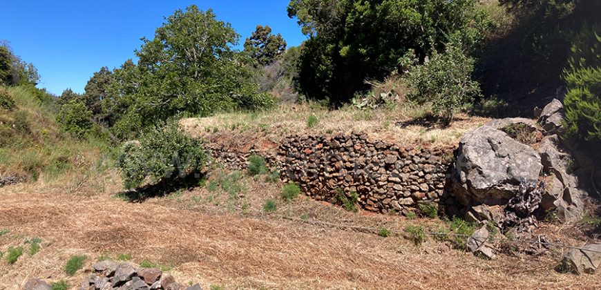 Grundstück in Garafia