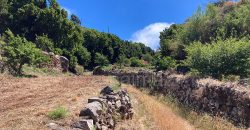 Grundstück in Garafia