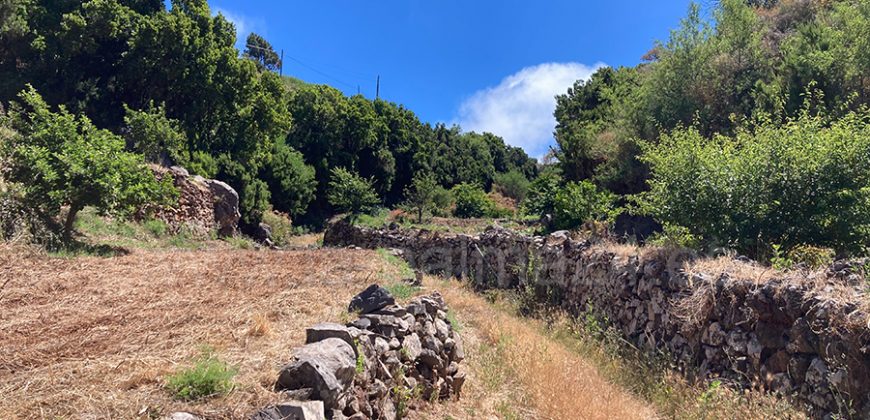 Grundstück in Garafia