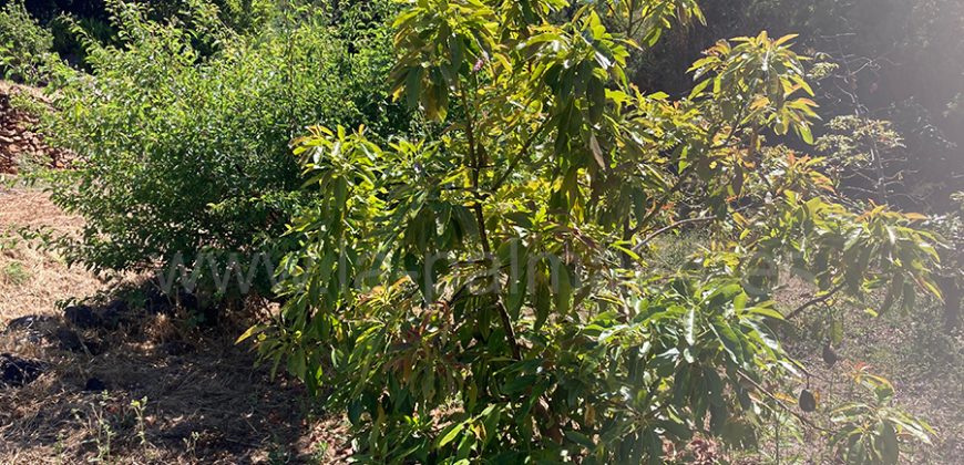 Grundstück in Garafia