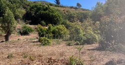 Grundstück in Garafia