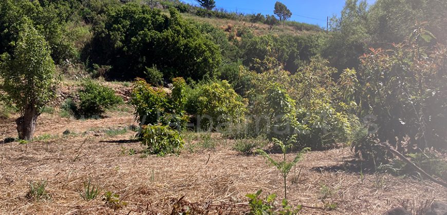 Grundstück in Garafia