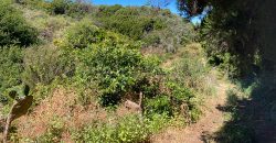 Grundstück in Garafia