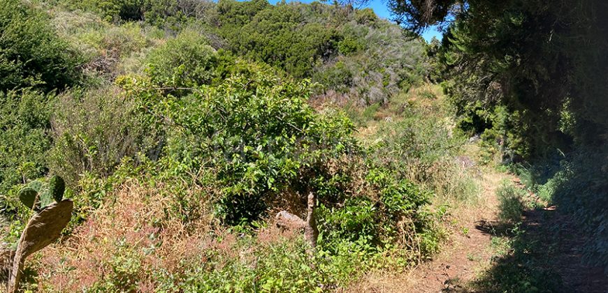 Grundstück in Garafia