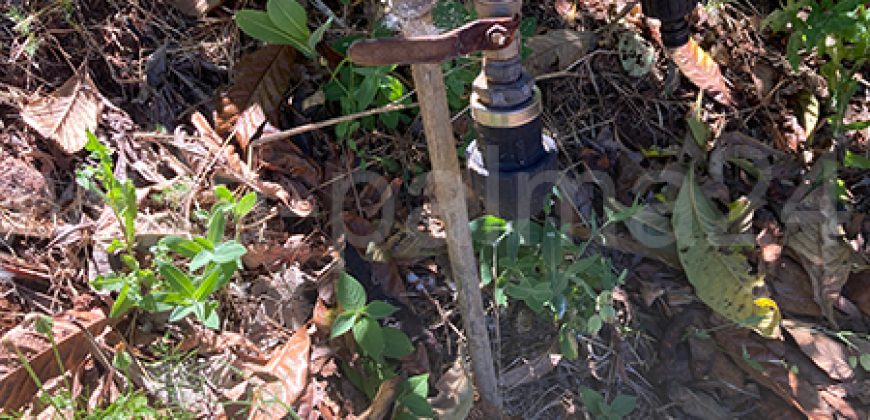 Grundstück in Garafia