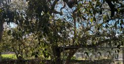Finca in El Paso