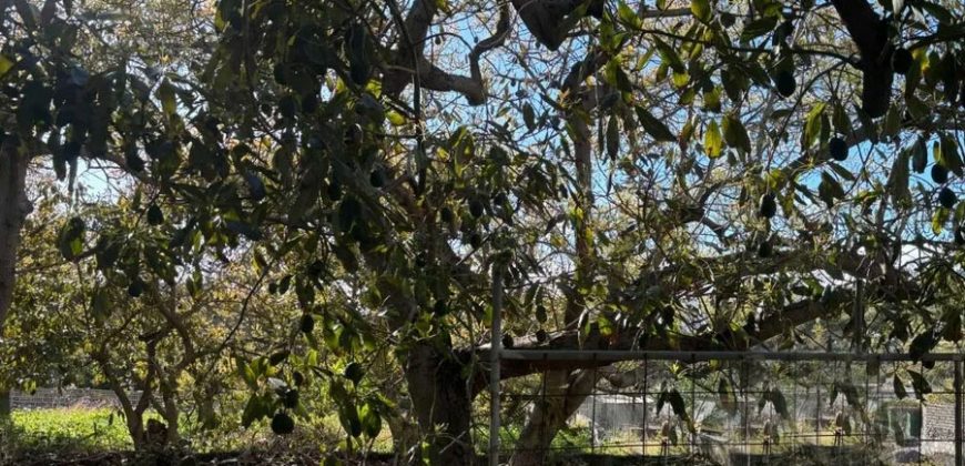 Finca in El Paso