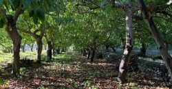 Finca in El Paso