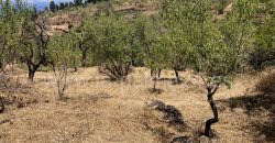 Bauland in Garafia