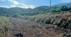 Kultivierbares Land