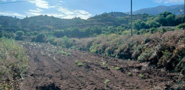 Kultivierbares Land