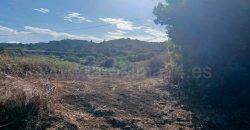 Kultivierbares Land