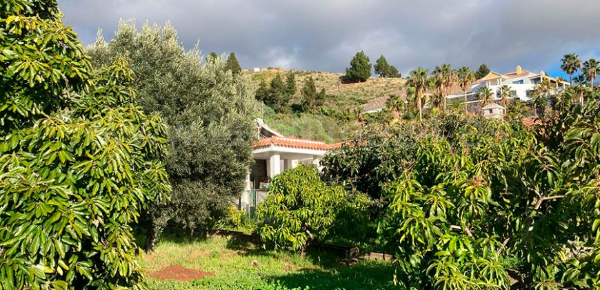 Haus in Los Pedregales