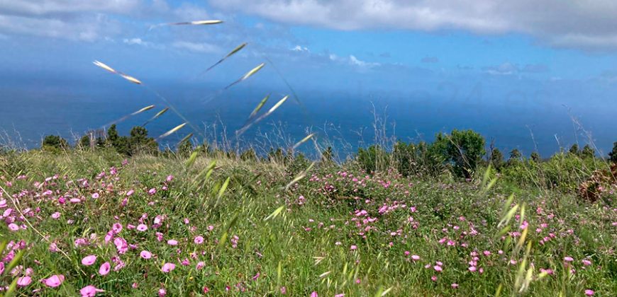 Touristisches Bauland