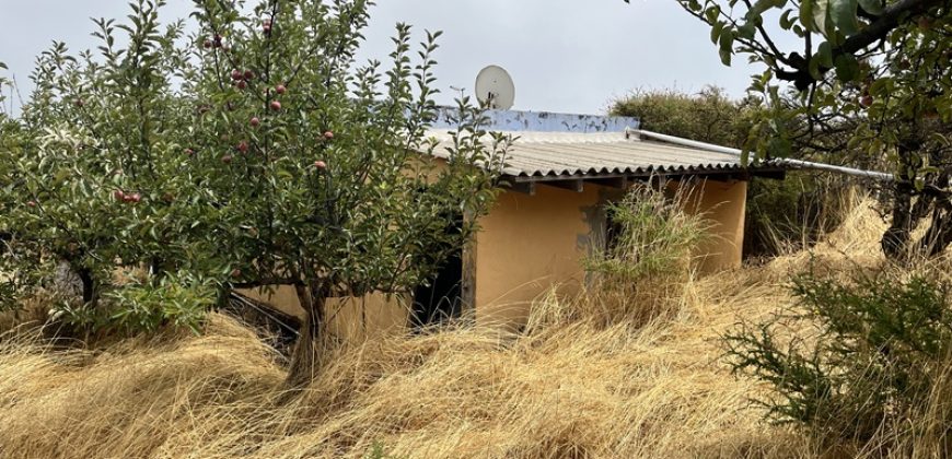 Finca in La Palma