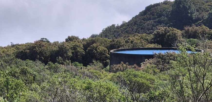 Finca in La Palma