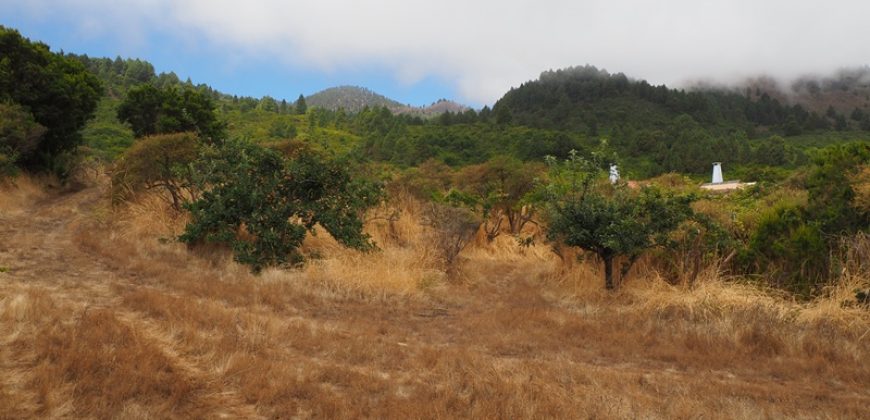 Finca in La Palma