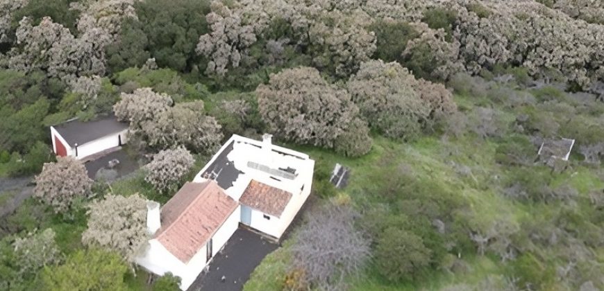 Finca in La Palma
