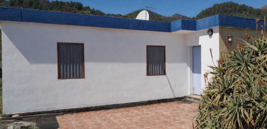 Finca in La Palma
