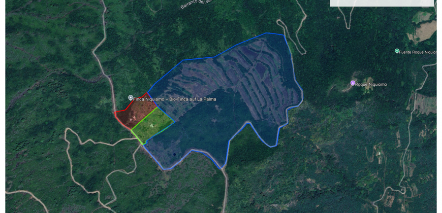 Finca in La Palma