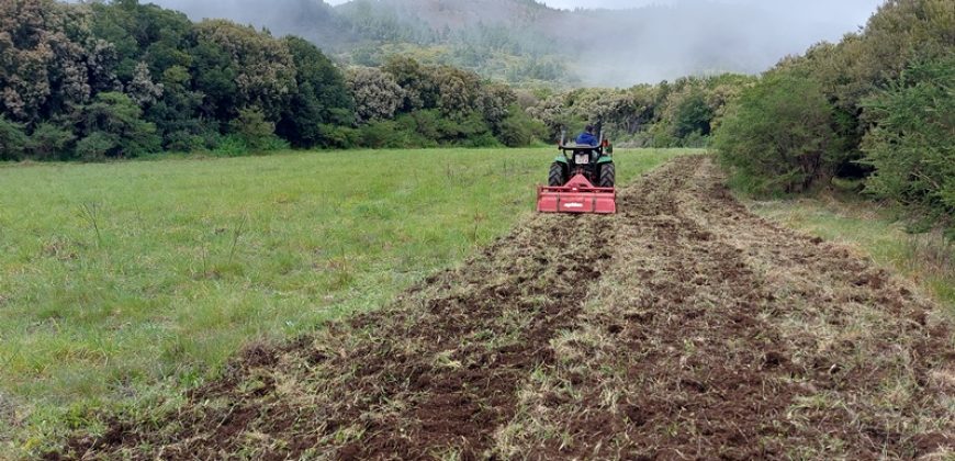Finca in La Palma