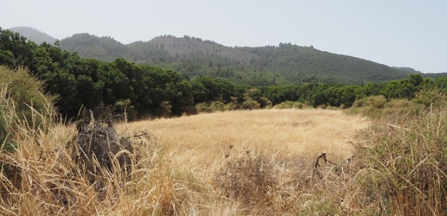 Finca in La Palma