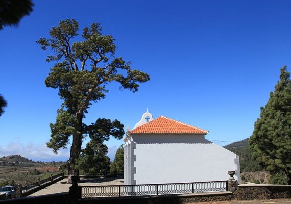 Las obras que ejecuta Política Territorial en el entorno del Pino de la Virgen