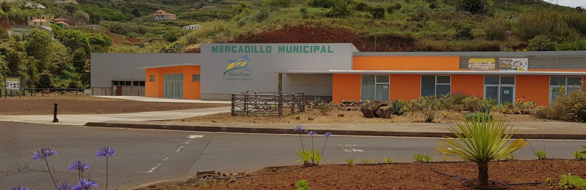 El Cabildo licita las obras de urbanización del entorno del mercadillo municipal de Puntallana con cargo al Fdcan