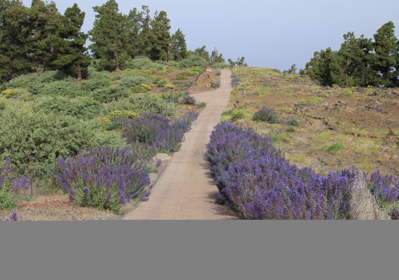 “Parque Astronómico Cultural Llano de las Ánimas”