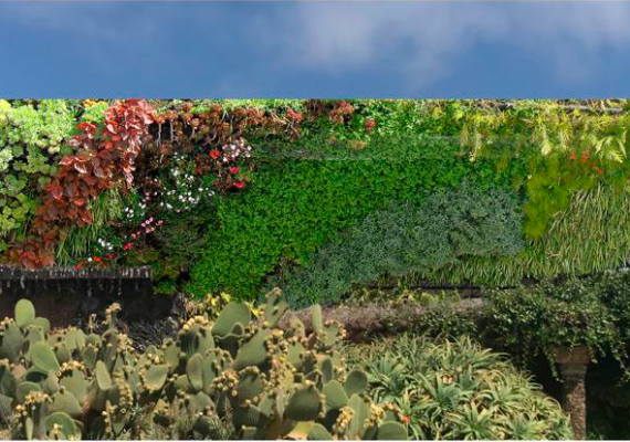 Jardín vertical para la Plaza de la Glorieta