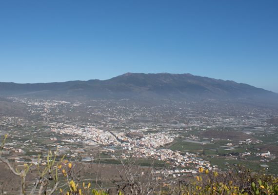 Nueva Cotmac en La Palma