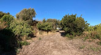 Finca en Garafia