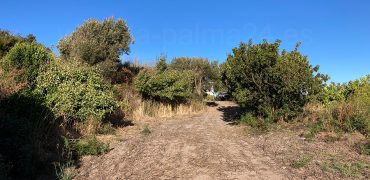 Finca en Garafia