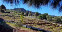 Finca en Garafia
