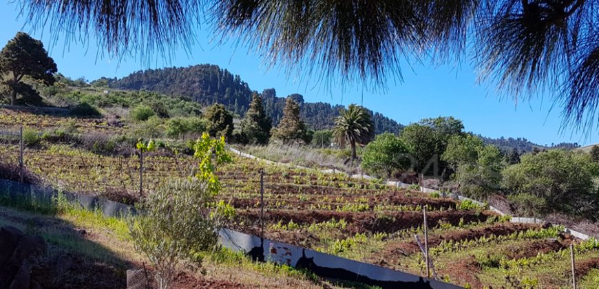 Finca en Garafia